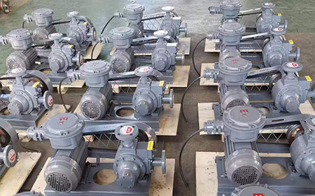 LPG Gas Transfer Pump for Ensure Production Safety